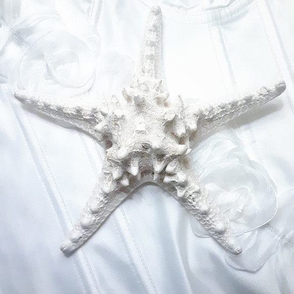 Starfish Other - A Mermaid's Starfish